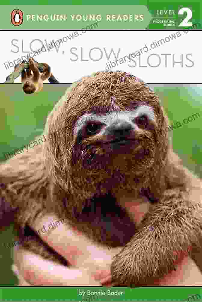 Book Cover Of Slow Slow Sloths (Penguin Young Readers Level 2)