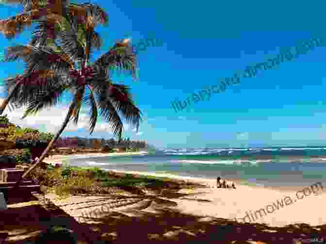 Surfers Walking Across The Beach At Haleiwa Beach Park. Top 10 Oahu Surf Breaks According To Locals