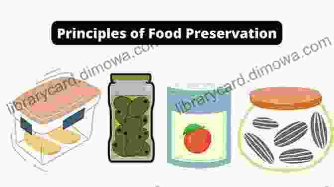 The Principle Of Preservation: Protecting And Preserving Wealth The Laws Of The Ring: The Laws Of The Cage From The California Kid