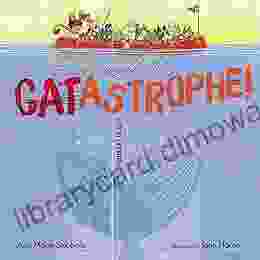 CATastrophe : A Story Of Patterns