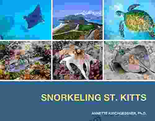 Snorkeling St Kitts Annette Kirchgessner