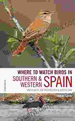 Where To Watch Birds In Southern And Western Spain: Andalucia Extremadura And Gibraltar