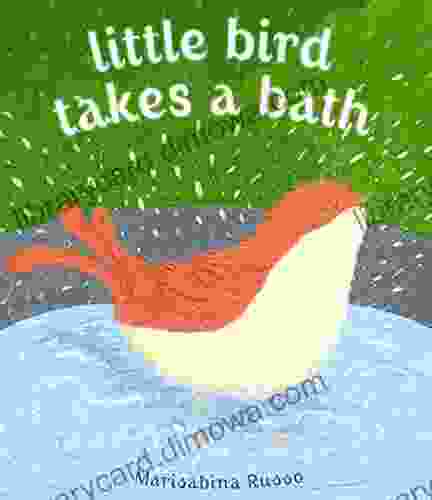 Little Bird Takes A Bath