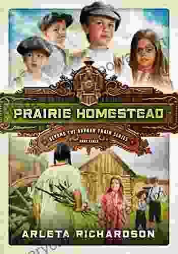 Prairie Homestead (Beyond The Orphan Train 3)