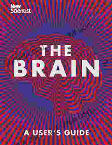 The Brain: Everything You Need To Know